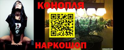 гидропоника Партизанск
