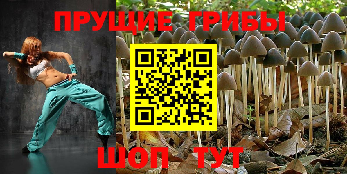 Псилоцибиновые грибы Cubensis  Вход с VPN  Якутск  Галлюциногенные грибы Cubensis 